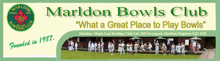 The Header image, a picture of the green with bowlers