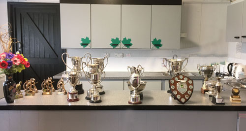 Picture of the bowls trophies