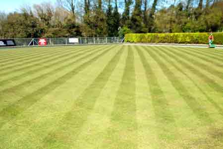 picture of man mowing green