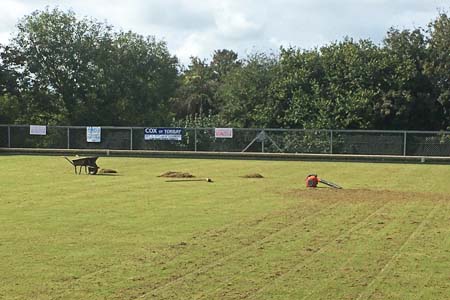 Picture of green with wheelbarrow on it