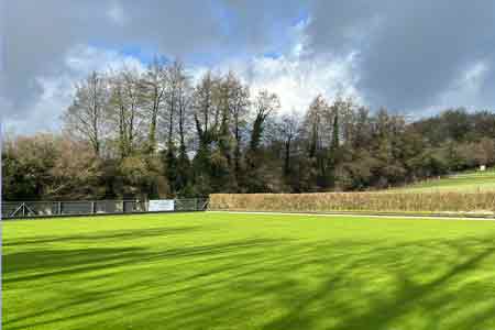 Picture of a sunny winter green